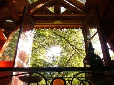 Cabane perchée dans les arbres, vue panoramique sur la verdure environnante.