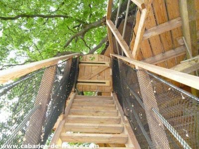 Cabane dans les arbres en Hauts-de-France, accès par un escalier en bois.