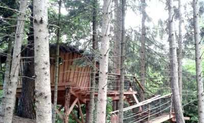 Cabane « Les Framboises » – Vallée de l’Ance