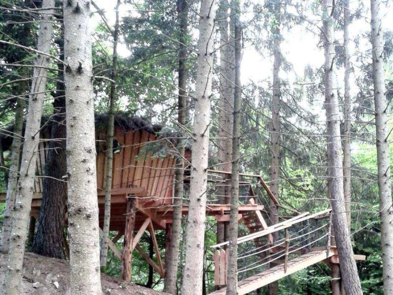 Cabane perchée dans les arbres en Auvergne, entourée de verdure luxuriante.