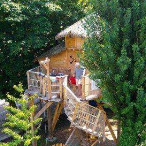 Cabane perchée dans les arbres, entourée de verdure, avec terrasse en bois.