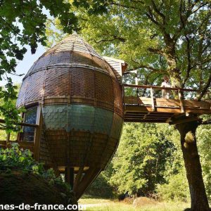 Cabane en bois perchée dans un arbre, avec un design ovoïde et des tuiles colorées.