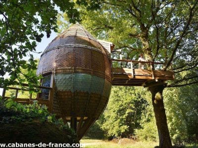 Cabane en bois perchée dans un arbre, avec un design ovoïde et des tuiles colorées.