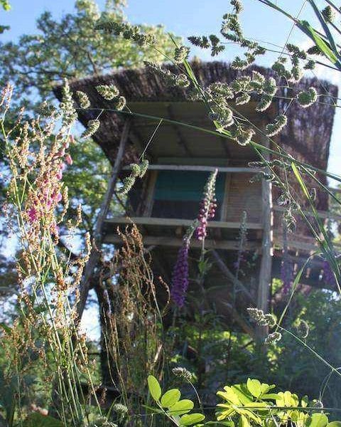 Cabane perchée dans les arbres, entourée de fleurs sauvages colorées.