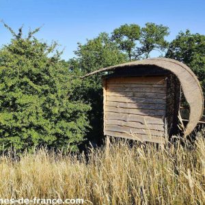 Cabane en bois au milieu des champs, avec un toit courbé et verdure environnante.