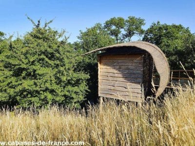 Cabane en bois au milieu des champs, avec un toit courbé et verdure environnante.