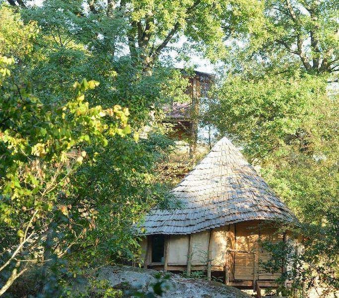 Cabane en bois au cœur de la nature, entourée darbres verdoyants.