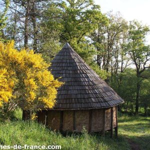 Cabane en bois au cœur de la nature, entourée de fleurs jaunes éclatantes.