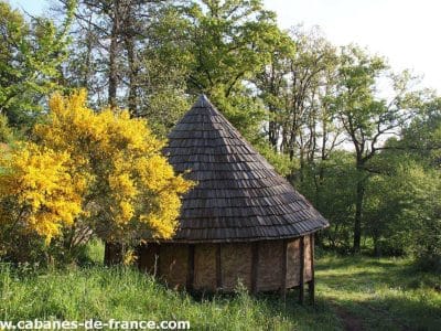Cabane en bois au cœur de la nature, entourée de fleurs jaunes éclatantes.
