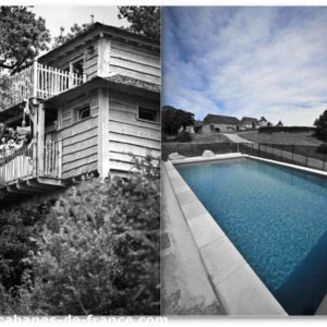 Cabane en bois perchée avec terrasse et piscine extérieure entourée de verdure.