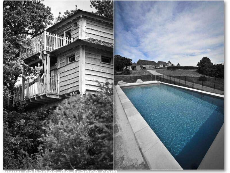 Cabane en bois perchée avec terrasse et piscine extérieure entourée de verdure.