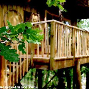 Cabane dans les arbres en Aquitaine, avec une terrasse en bois entourée de verdure.