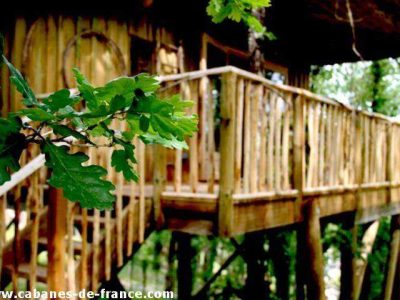Cabane dans les arbres en Aquitaine, avec une terrasse en bois entourée de verdure.