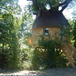 Cabane perchée dans un arbre, entourée de verdure, avec un toit en chaume.