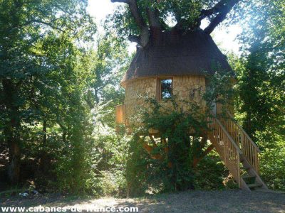 Cabane perchée dans un arbre, entourée de verdure, avec un toit en chaume.