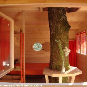Cabane perchée en Midi-Pyrénées, avec un arbre traversant lintérieur et des fenêtres lumineuses.