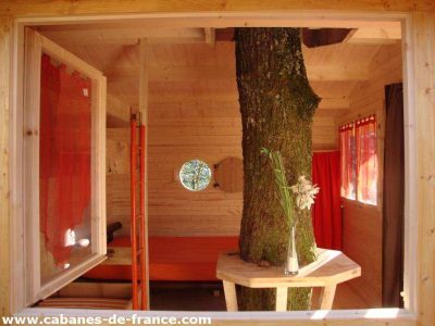 Cabane perchée en Midi-Pyrénées, avec un arbre traversant lintérieur et des fenêtres lumineuses.
