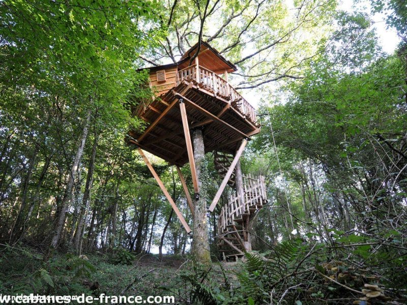 Cabane perchée dans les arbres, offrant une vue imprenable sur la forêt verdoyante.