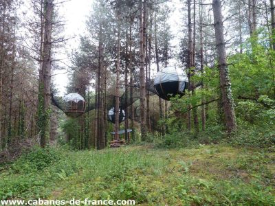 Cabanes suspendues dans les arbres, nichées au cœur dune forêt verdoyante.
