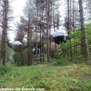 Cabanes suspendues dans les arbres, entourées de verdure en Aquitaine.