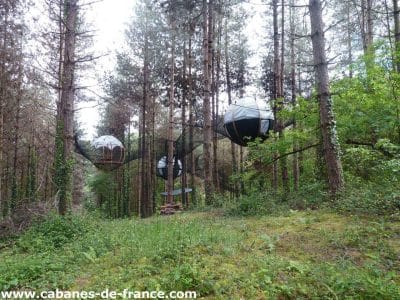 Cabanes suspendues dans les arbres, entourées de verdure en Aquitaine.