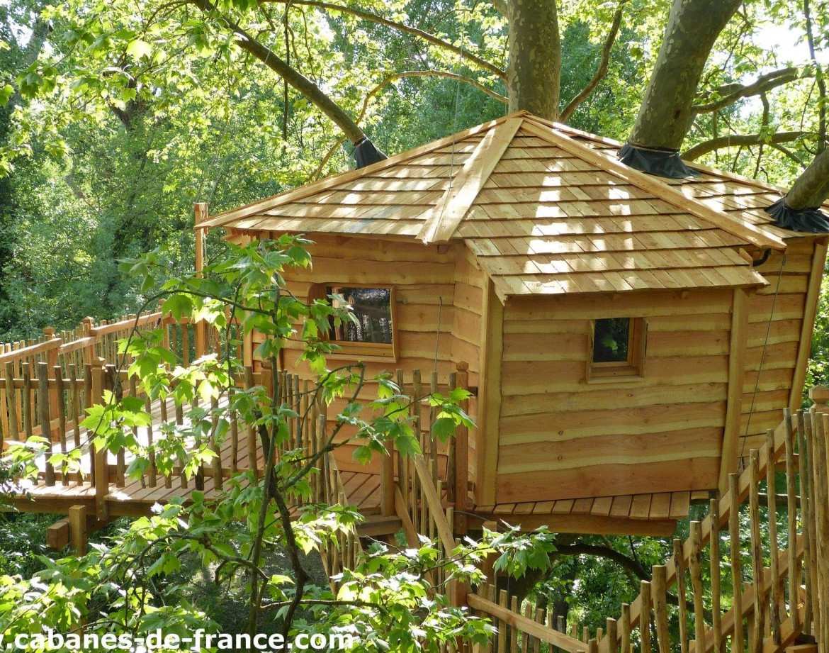 Cabane dans les arbres en Languedoc-Roussillon, entourée de verdure luxuriante.