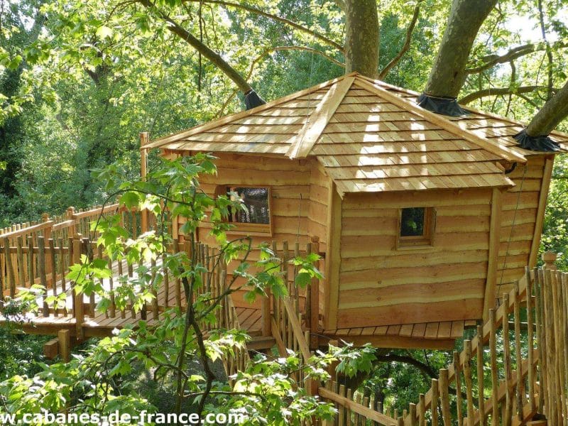 Cabane dans les arbres en Languedoc-Roussillon, entourée de verdure luxuriante.