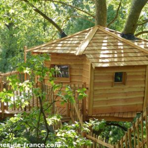 Cabane dans les arbres en bois, perchée au milieu dune verdure luxuriante.