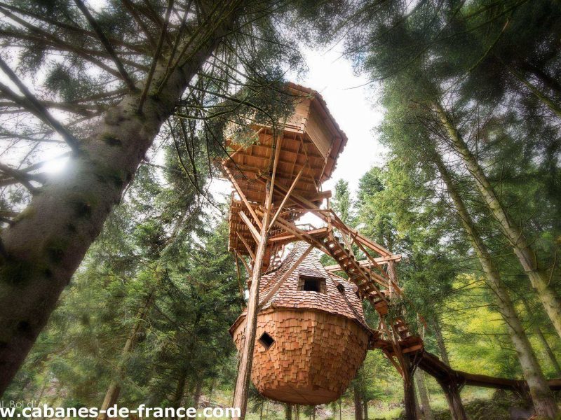 Cabane perchée en bois, entourée darbres verdoyants dans le Grand-Est.