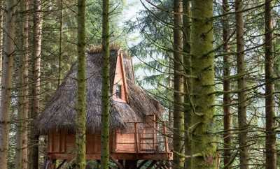 Cabane Le Murmure du Printemps – Bol d’air