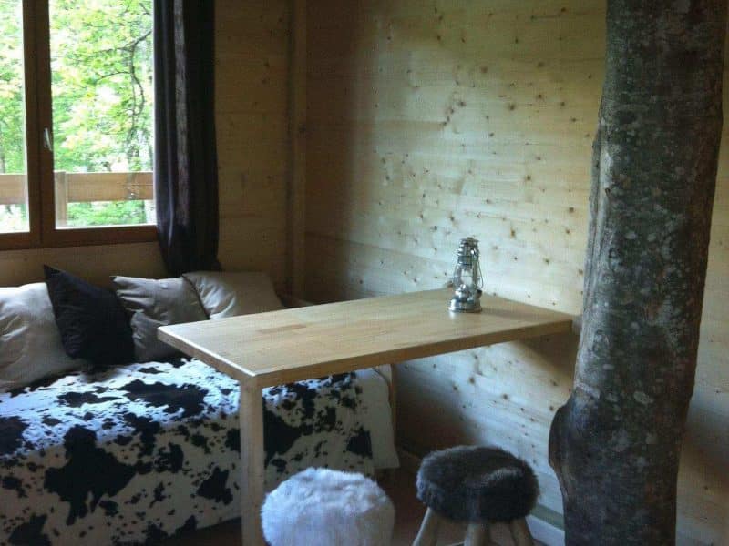 Cabane en bois cosy en Auvergne, avec un arbre traversant le salon.
