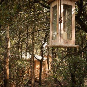 Cabane perchée dans les arbres, éclairée par une lanterne vintage.