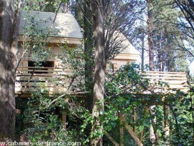 Cabane perchée en bois, entourée darbres verdoyants dans le Languedoc-Roussillon.