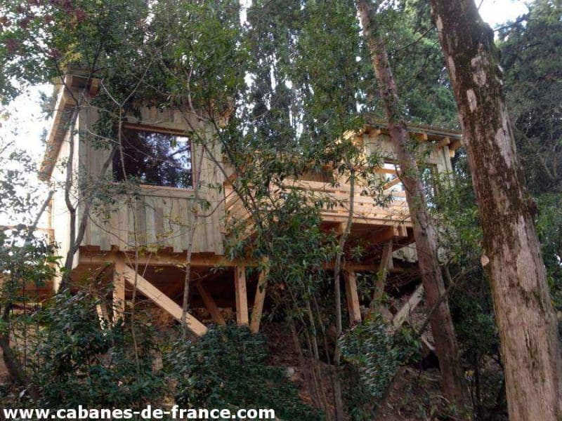 Cabane perchée en bois, entourée darbres, offrant une vue imprenable sur la nature.