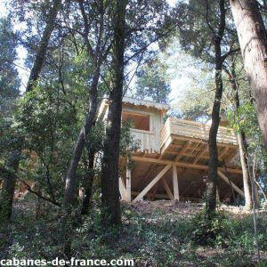 Cabane perchée en bois, entourée darbres, offrant une vue imprenable sur la nature.