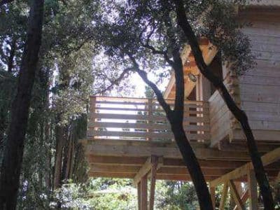 Cabane perchée en bois, entourée darbres, offrant une vue apaisante sur la nature.