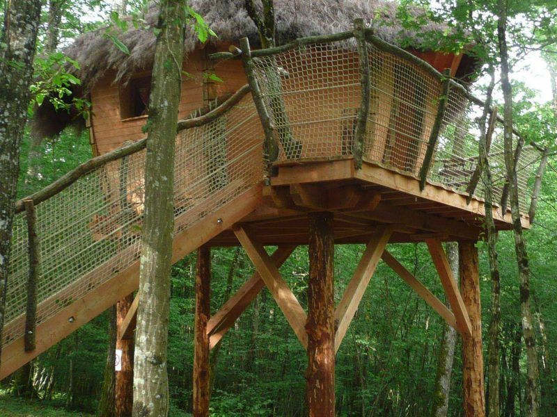 Cabane dans les arbres avec toit en chaume, perchée au milieu des arbres.