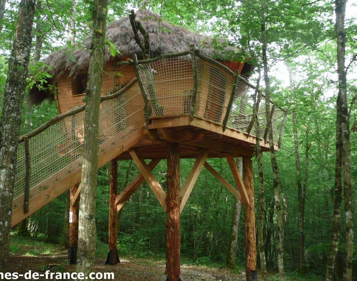 Cabane perchée en bois avec toit en chaume, entourée darbres verdoyants.