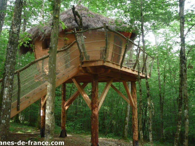 Cabane perchée en bois avec toit en chaume, entourée darbres verdoyants.