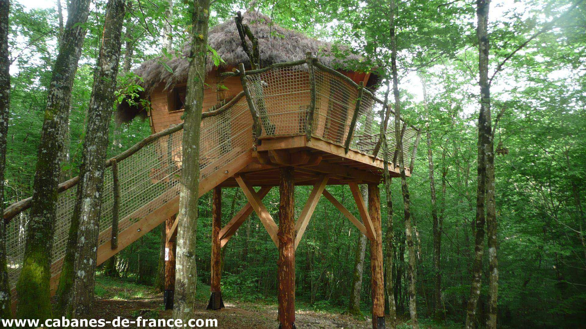 Maison De Fée Verte Dans La Forêt