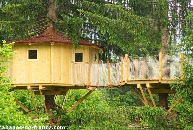 Cabane perchée dans les arbres, entourée de verdure luxuriante en Auvergne-Rhône-Alpes.