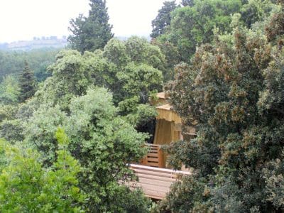 Cabane perchée dans les arbres, entourée de verdure luxuriante à Languedoc-Roussillon.