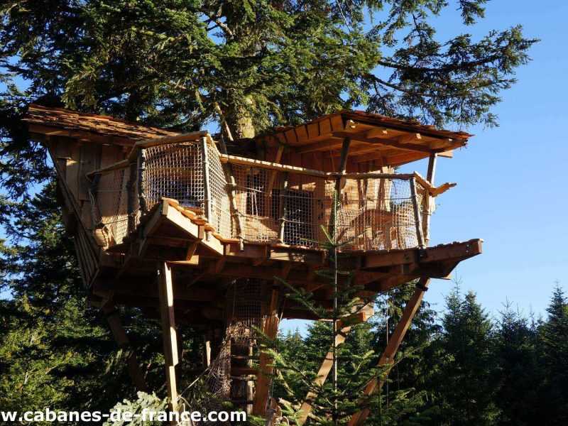 Cabane perchée dans les arbres en Auvergne, entourée de verdure luxuriante.