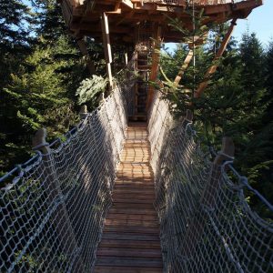 Cabane perchée dans les arbres en Auvergne, accessible par un pont en bois suspendu.