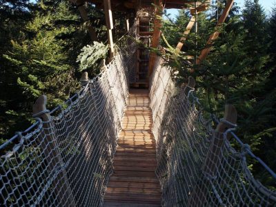 Cabane perchée dans les arbres en Auvergne, accessible par un pont en bois suspendu.
