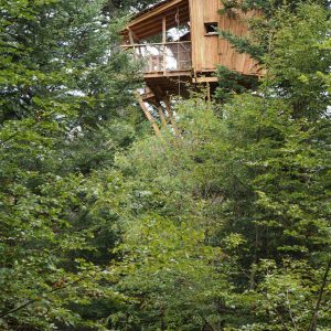 Cabane perchée dans les arbres en Auvergne, entourée de verdure luxuriante.