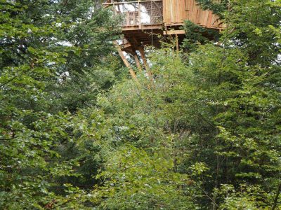 Cabane perchée dans les arbres en Auvergne, entourée de verdure luxuriante.