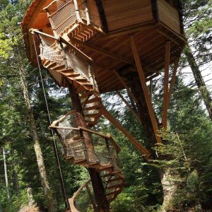 Cabane perchée en bois, entourée darbres, avec une belle échelle en colimaçon.