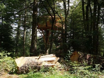 Cabane perchée dans les arbres, entourée de verdure luxuriante en Auvergne.