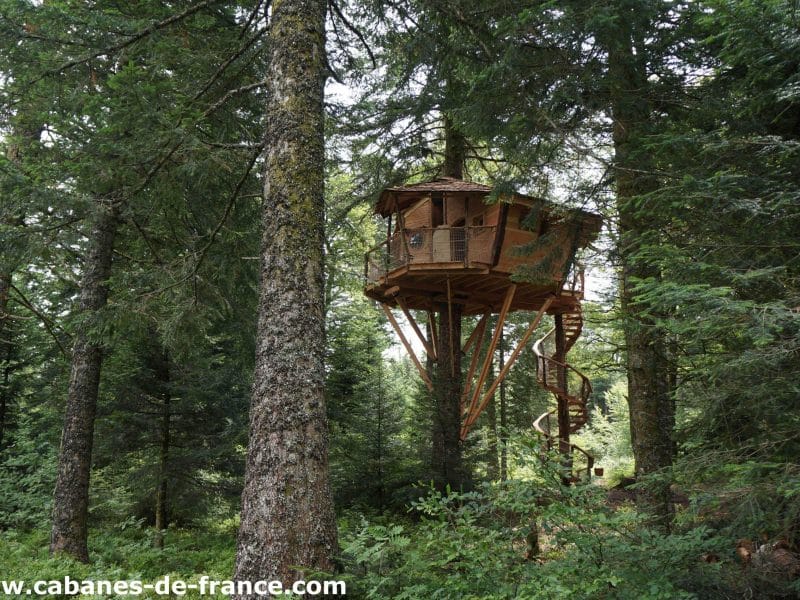 Cabane perchée dans les arbres en Auvergne, entourée de verdure luxuriante.